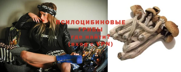 прущий лед Белоозёрский