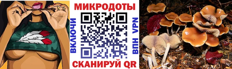 Галлюциногенные грибы мицелий  даркнет сайт  KRAKEN ссылки  Окуловка 